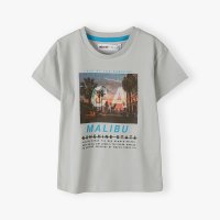 13TEE 27J: Graphic T-Shirt (3-8 Years)